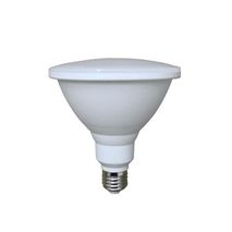 LED Par Lamps 240V 12W Lpar Lamp 3000K/6000K LPAR38