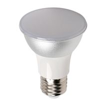 240V PAR Series LED Lamp LPAR