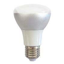 240V R Series LED Lamp LR