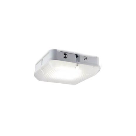 led bulkhead emergency light fitting