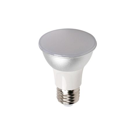 240V PAR Series LED Lamp LPAR