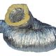 Insulated Flexible Duct - Fire Rated AS/NZS 4254