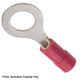 3.7mm Insulated Terminals Ring Red (pack of 100)
